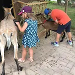 Du Tichweg Кольмар