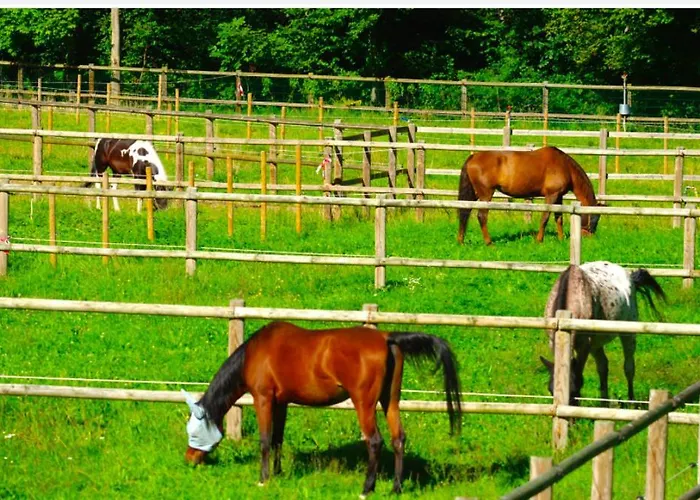 Vakantiehuis Du Tichweg *